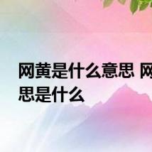 网黄是什么意思 网黄意思是什么