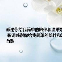 感谢你给我简单的陪伴和温暖是什么歌曲 歌词感谢你给我简单的陪伴和温暖是哪首歌