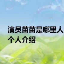 演员苗苗是哪里人 苗苗个人介绍