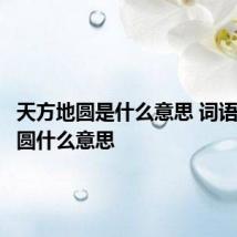 天方地圆是什么意思 词语天方地圆什么意思