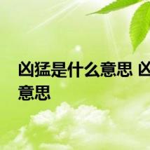 凶猛是什么意思 凶猛的意思