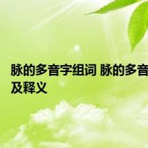 脉的多音字组词 脉的多音字组词及释义