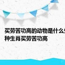买劳苦功高的动物是什么生肖 哪种生肖买劳苦功高