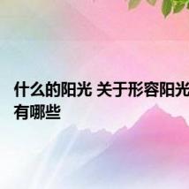 什么的阳光 关于形容阳光的词语有哪些