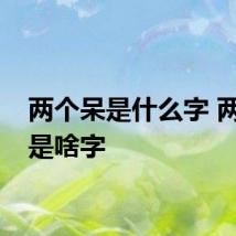 两个呆是什么字 两个呆是啥字