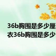 36b胸围是多少厘米 内衣36b胸围是多少