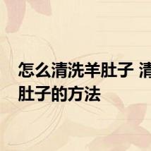怎么清洗羊肚子 清洗羊肚子的方法