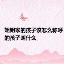 姐姐家的孩子该怎么称呼 姐姐家的孩子叫什么