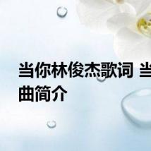 当你林俊杰歌词 当你歌曲简介