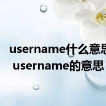 username什么意思中文 username的意思