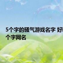 5个字的骚气游戏名字 好听的五个字网名