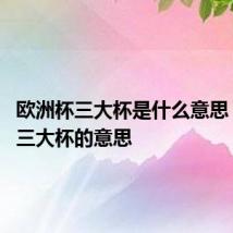 欧洲杯三大杯是什么意思 欧洲杯三大杯的意思