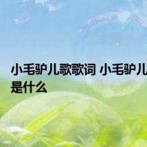 小毛驴儿歌歌词 小毛驴儿歌歌词是什么