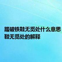 踏破铁鞋无觅处什么意思 踏破铁鞋无觅处的解释