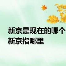 新京是现在的哪个城市 新京指哪里
