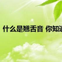 什么是翘舌音 你知道吗