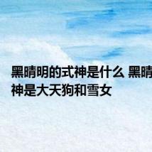 黑晴明的式神是什么 黑晴明的式神是大天狗和雪女