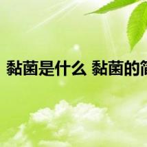 黏菌是什么 黏菌的简介