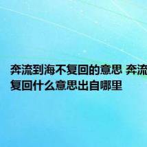 奔流到海不复回的意思 奔流到海不复回什么意思出自哪里
