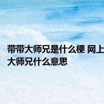 带带大师兄是什么梗 网上的带带大师兄什么意思