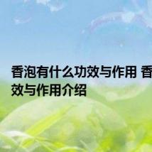 香泡有什么功效与作用 香泡的功效与作用介绍