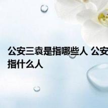 公安三袁是指哪些人 公安三袁是指什么人