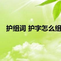 护组词 护字怎么组词