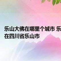 乐山大佛在哪里个城市 乐山大佛在四川省乐山市