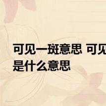 可见一斑意思 可见一斑是什么意思