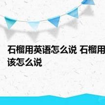 石榴用英语怎么说 石榴用英语应该怎么说