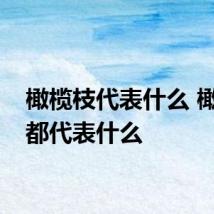 橄榄枝代表什么 橄榄枝都代表什么