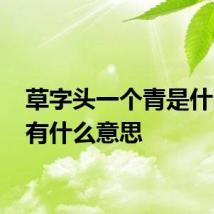 草字头一个青是什么字 有什么意思