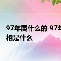97年属什么的 97年的属相是什么