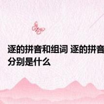 逐的拼音和组词 逐的拼音和组词分别是什么