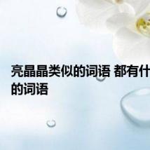 亮晶晶类似的词语 都有什么相似的词语