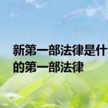 新第一部法律是什么 新的第一部法律