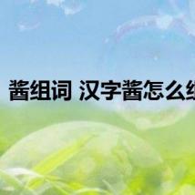 酱组词 汉字酱怎么组词