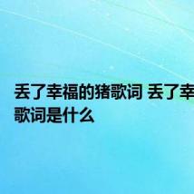 丢了幸福的猪歌词 丢了幸福的猪歌词是什么