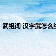 武组词 汉字武怎么组词