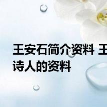 王安石简介资料 王安石诗人的资料