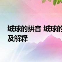 绒球的拼音 绒球的拼音及解释