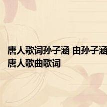 唐人歌词孙子涵 由孙子涵演唱的唐人歌曲歌词