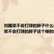 刘国梁不会打球的胖子什么梗 刘国梁不会打球的胖子这个梗的解释