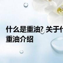 什么是重油? 关于什么是重油介绍