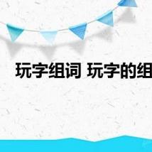 玩字组词 玩字的组词