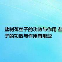 盐制菟丝子的功效与作用 盐制菟丝子的功效与作用有哪些