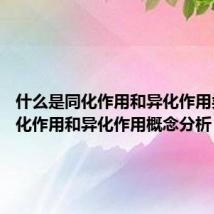 什么是同化作用和异化作用类型 同化作用和异化作用概念分析