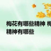 梅花有哪些精神 梅花的精神有哪些