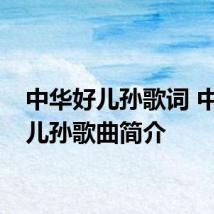 中华好儿孙歌词 中华好儿孙歌曲简介