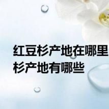 红豆杉产地在哪里 红豆杉产地有哪些